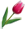 viola.ucoz.ru